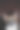 狗图片下载