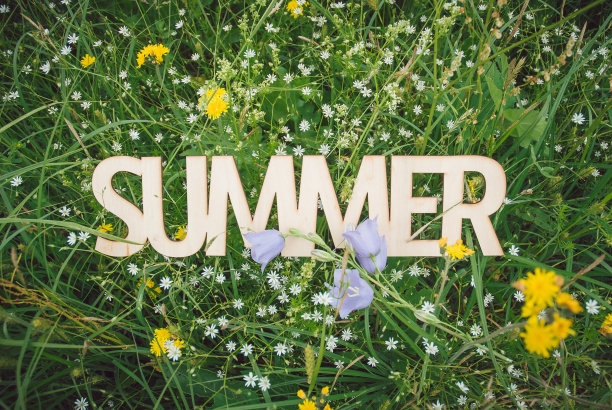 带花的木制标志图片下载