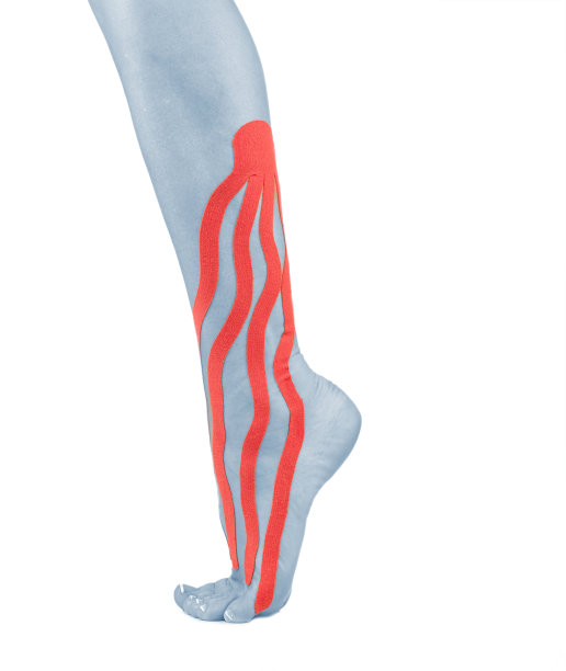 受伤的脚踝图片下载