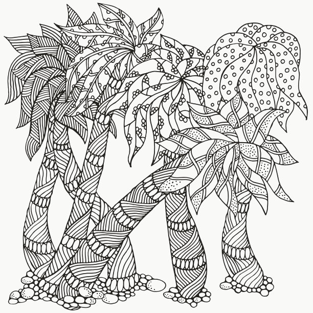 一组棕榈树。着色书的模式。图片下载