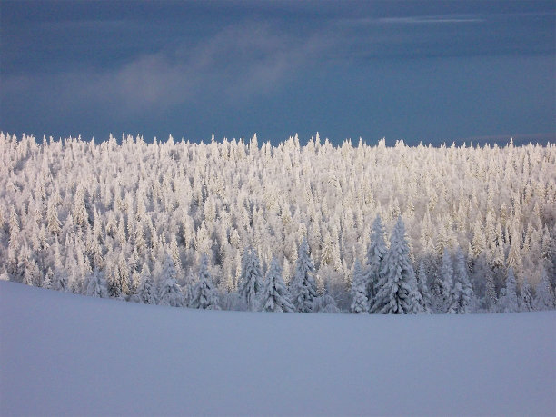 童话般的冰雪覆盖的俄罗斯荒野图片下载
