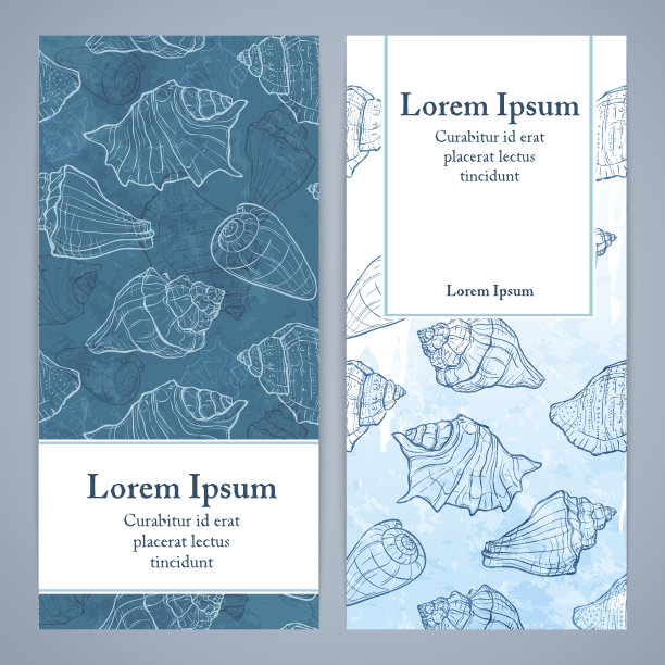 劫掠者和贝壳图片下载