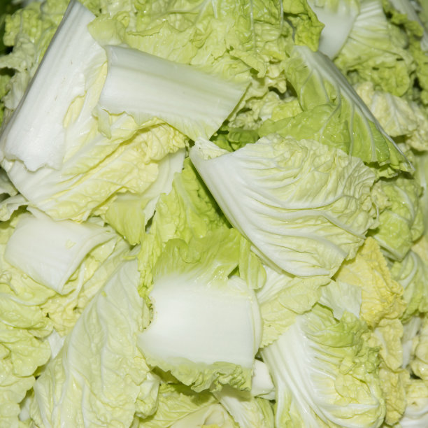 泰国食物,生菜图片下载