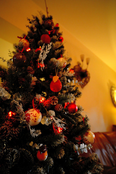 圣诞树图片下载