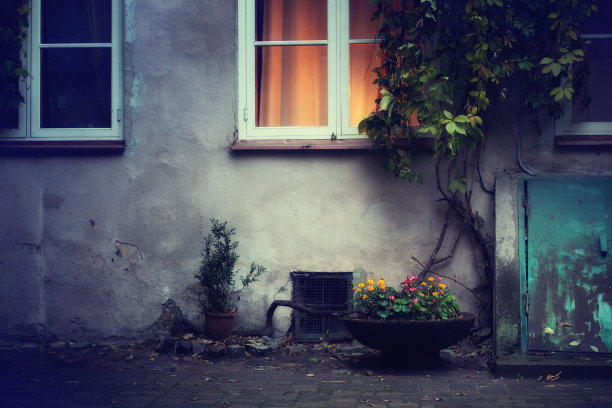 傍晚，一扇窗，一个院子，鲜花图片下载