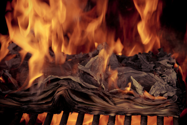 一个赢家新闻图片下载