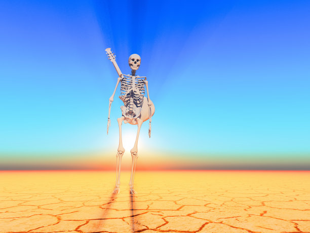 音乐家死亡图片下载