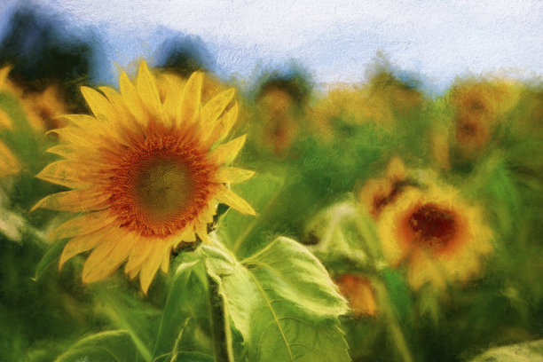 数字艺术绘画构图、田葵、蜡笔、水彩、污迹图片下载