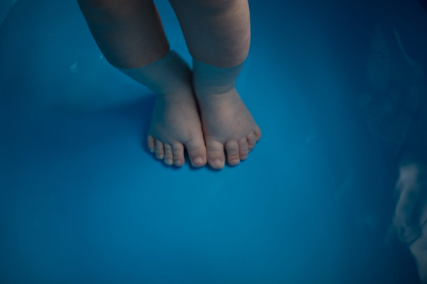 蓝色浴缸里的猫图片下载