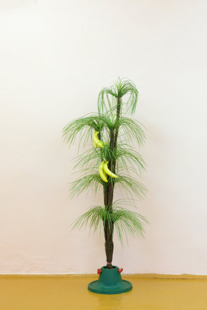 人工绿色的棕榈树和黄色的香蕉站在那里图片下载