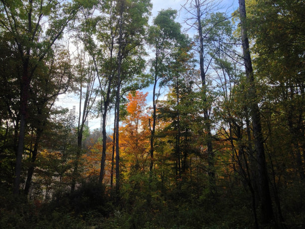 秋天来了图片下载