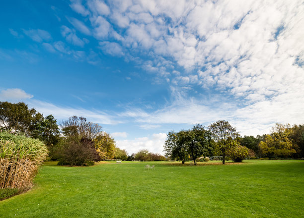 园林景观图片素材ID：125961862