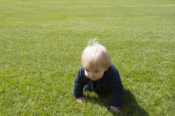 大逃亡图片下载