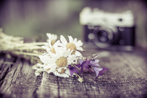 作为一个明信片图片下载