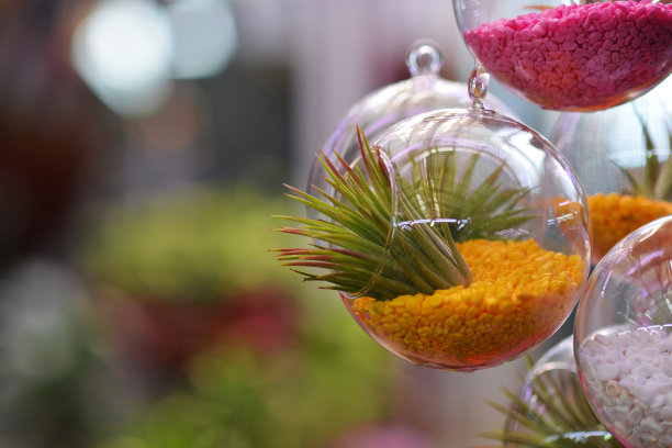 玻璃盆图片下载