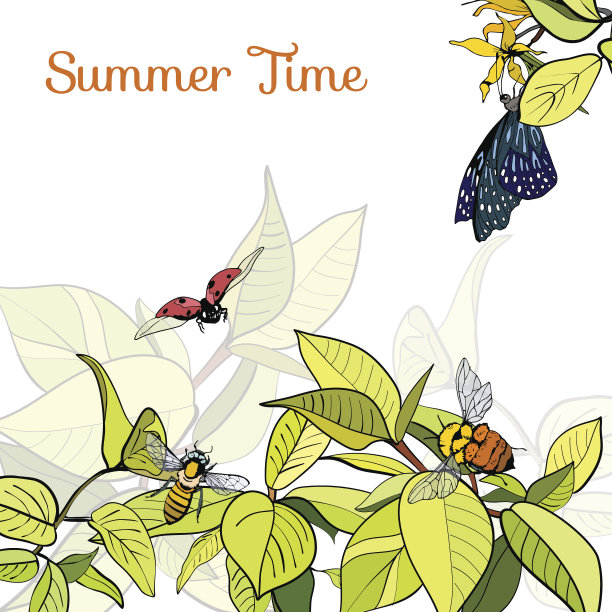 海报上有绿叶，蜜蜂和蝴蝶图片下载