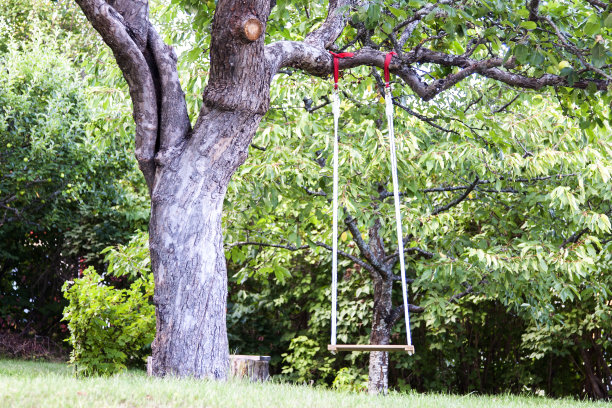 在树上荡秋千图片下载