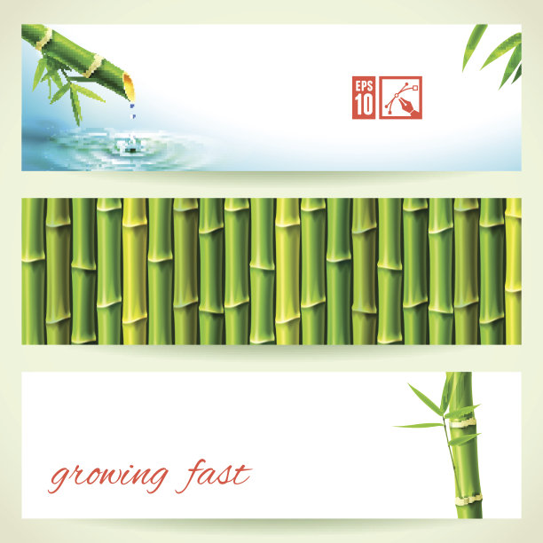 一套横竹横幅。矢量插图，eps10，可编辑图片下载