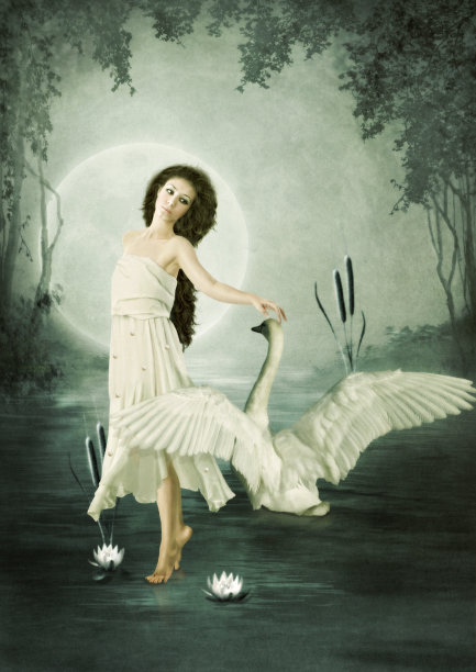 月球的天鹅图片下载