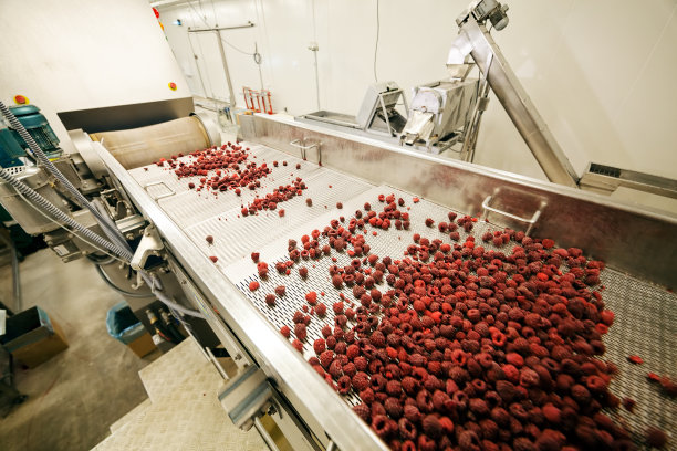 速冻树莓加工业务图片下载