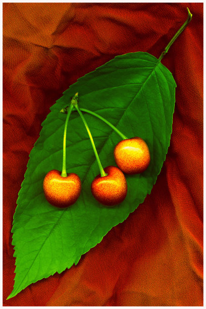 叶子上有三颗樱桃图片下载