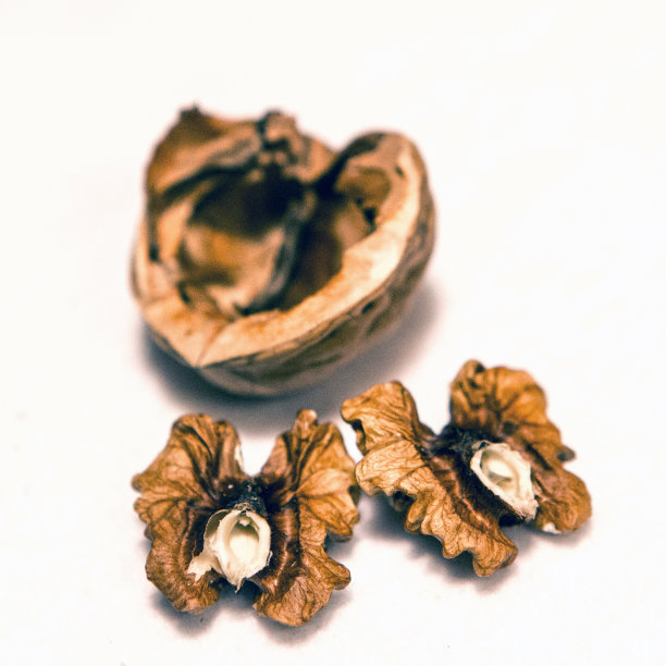 胡桃木图片下载