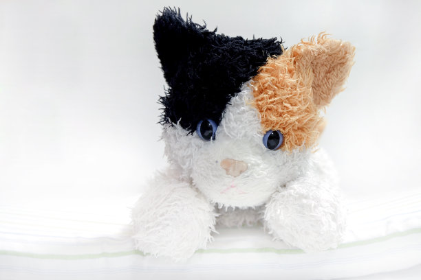 猫娃娃玩具图片下载