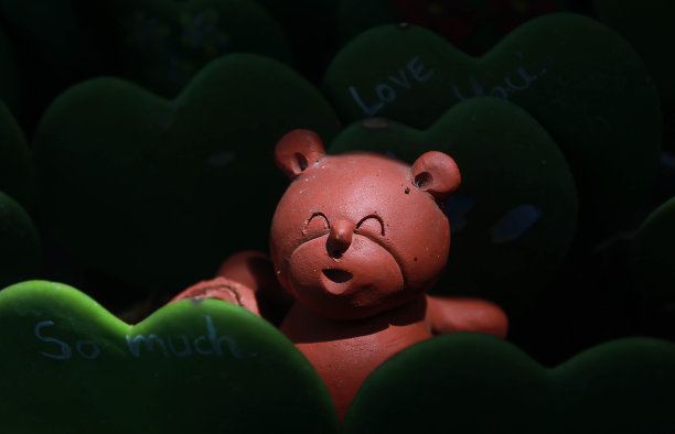 熊布朗图片下载