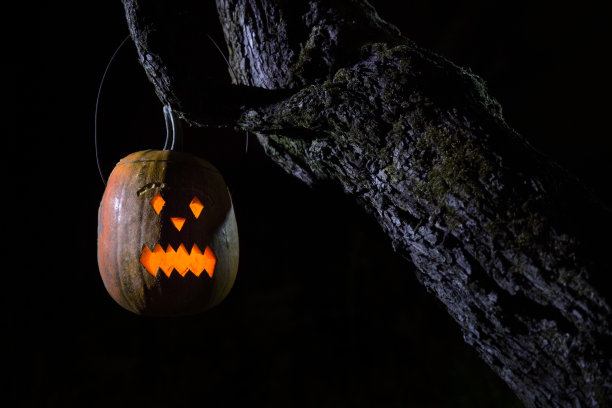 万圣节之夜杰克O灯笼图片下载