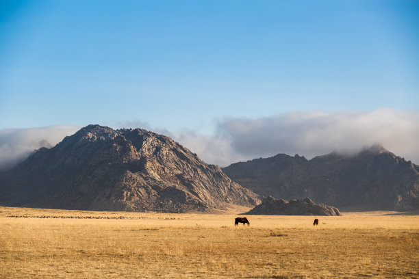 蒙古在户外图片下载