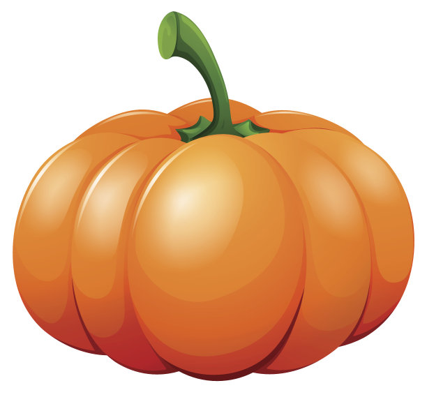 白色背景上的新鲜南瓜图片下载