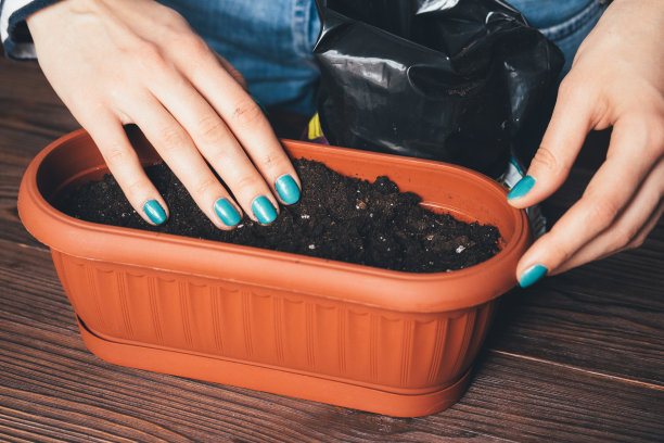 女人用亮闪闪的手把泥土倒进花盆里图片下载