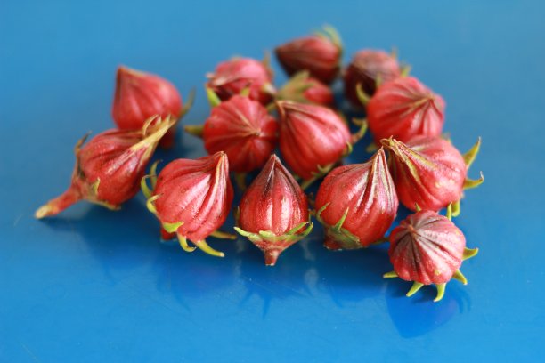 明星醋栗图片下载