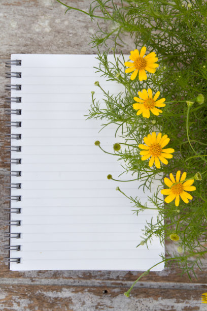 木桌上放着空白的记事本和鲜花图片下载