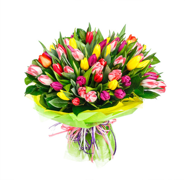 束郁金香图片下载