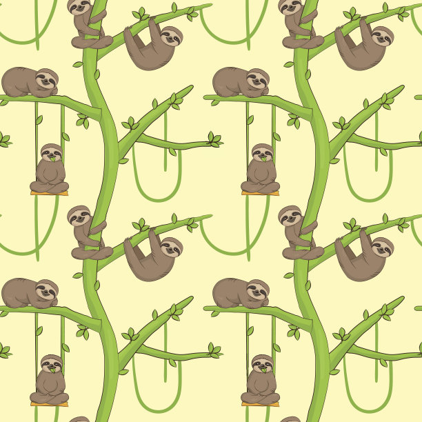 无懈可击的树懒图片下载