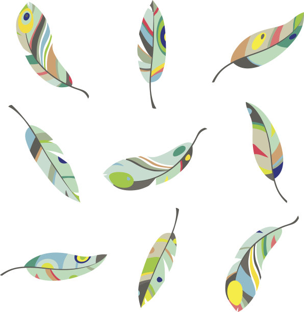 五彩缤纷的羽毛集图片下载