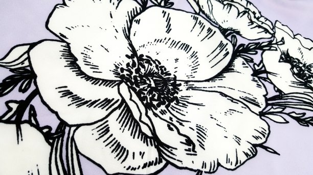 白色花与柔和的靛蓝背景图片下载