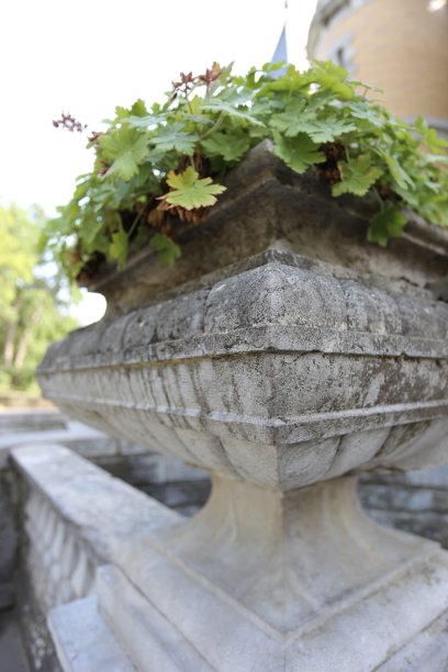在废弃的花园里，石制的瓮床上蔓生的常春藤。图片下载