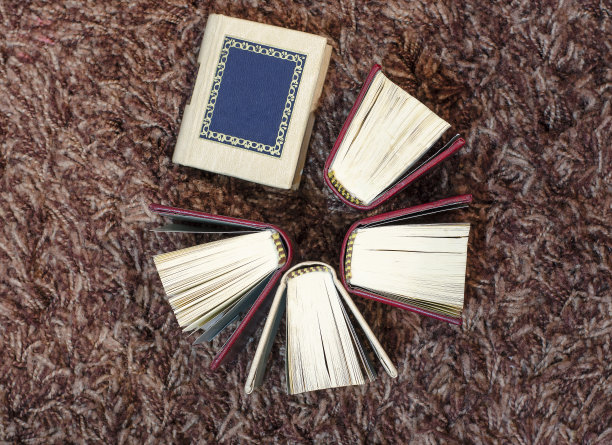 小的迷你书图片下载