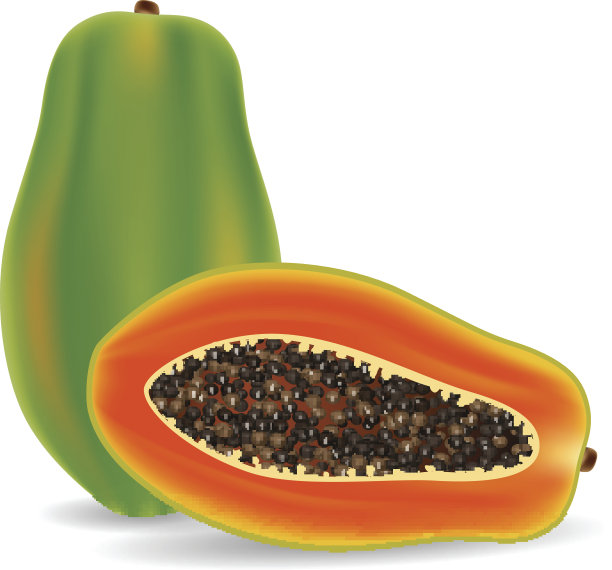 在白色背景上分离的新鲜木瓜图片下载