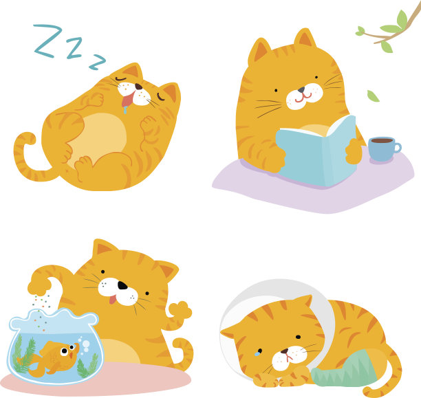 橙色的猫品种行动包矢量插图图片下载