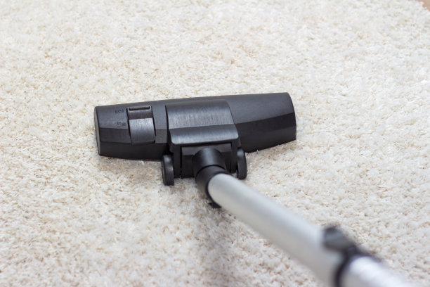 用来吸地毯的真空吸尘器图片下载