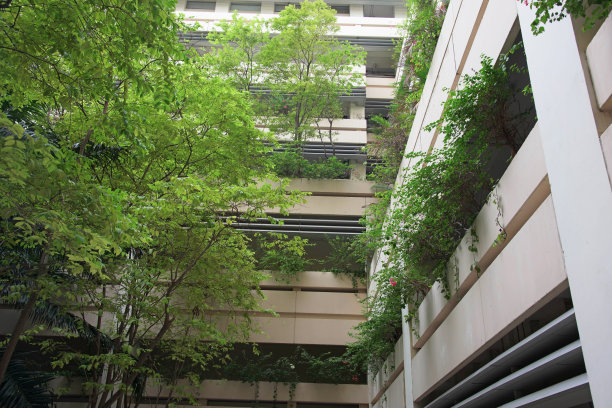 商业建筑与多种树木和花卉图片下载