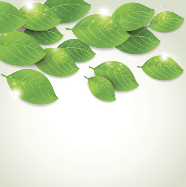 飘落的新鲜绿叶素材图片