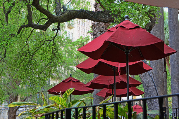 与栗色雨伞图片下载