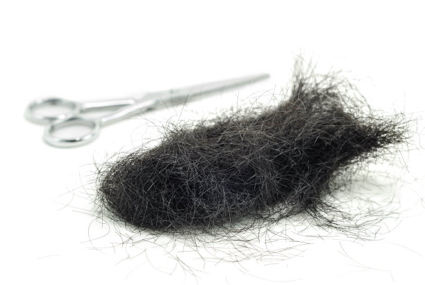 剪头发图片下载