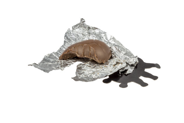 巧克力瓢虫图片下载