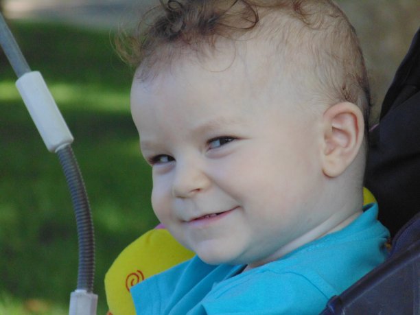 精明的一瞥。图片下载