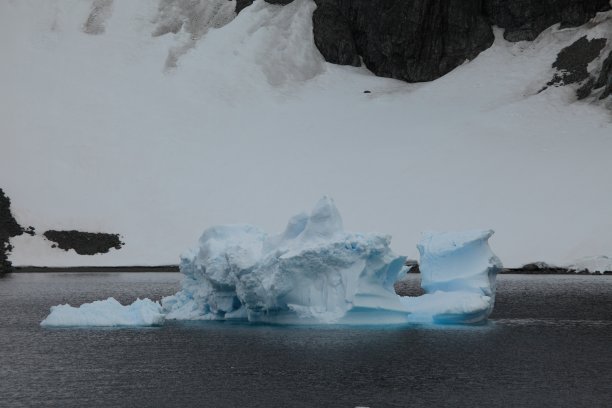 改变了北极的状况图片下载